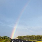 万葉歳時記 一日一葉