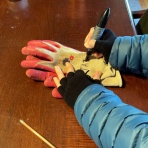 カリフォルニアのばあさんブログ