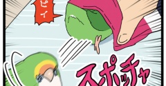 前を見て走らないからだと思う🦜