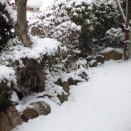 お久しぶりの雪景色