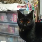 �إ����ȡ٤β���