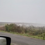 わが家のテニス日記+その他色々II