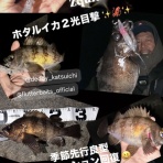 フラッター日誌