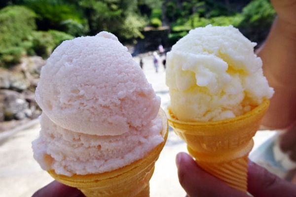 関西女のプチ日記 アイスクリン Powered By ライブドアブログ