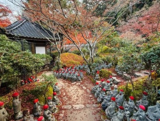 海外「秋の日本は魔法の世界みたいだ！」秋の日本旅行に対する海外の反応