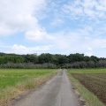 青木葉峠～不動峠