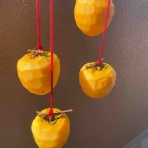 みさおばさんの有閑日記