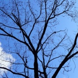 『3年間ありがとうございました。』の画像