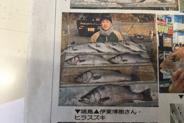 いとちゃんのさかなつりとやまのぼり V ヒラスズキ