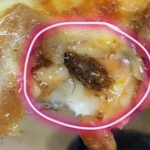 宅配ピザにゴキブリが混入。丸焦げで他の具材と見分けが付かず激怒へ！