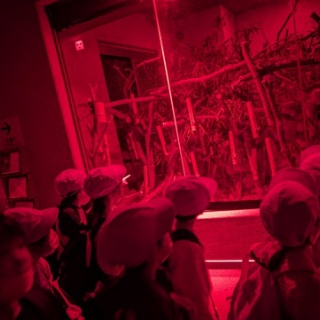 古千谷小だより