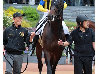 マジョレルブルー（26/05/03・4R・京都競馬場）