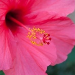 ガールズにちゃんまとめ