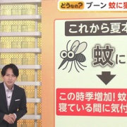 【警告】専門家『”これ”やってる人、蚊に刺されまくります』