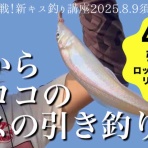 blue tetristの釣りノート