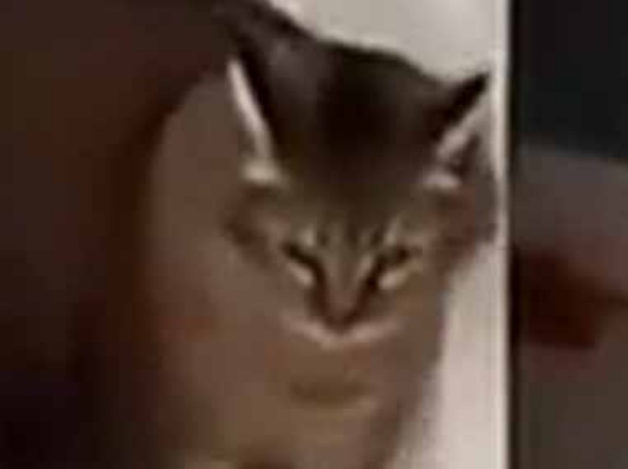 彼女にちょっと意地悪をした。俺の妹に何してくれとんねん！ → するとお兄さんがやってきて…