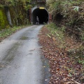 秋の長野遠征2  38年ぶりの鳩打林道と大平峠へ