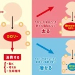 治療と運動｜ATTiVO（アッティーボ）/大阪