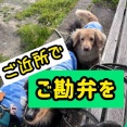 お出かけしないアタシたち。