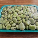 そら豆買ってみました