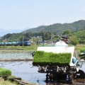 5月16日撮影　EH200が牽く西線貨物8084ﾚより