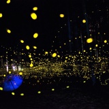 �ҥ�ܥ��������