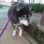 churahamaのブログ