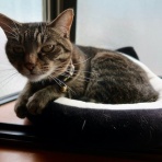 だいじろう日和。