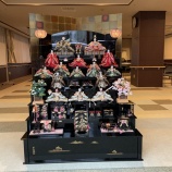 『石岡市の雛巡りが始まりました🎎✨』の画像