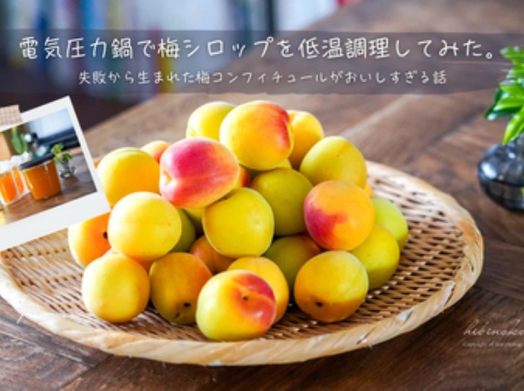 電気圧力鍋で梅シロップを低温調理してみた。