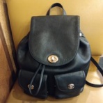 書家・佐々木竹翠～いちごいちえ～