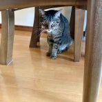 だいじろう日和。