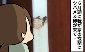 玄関にツバメの赤ちゃん誕生！