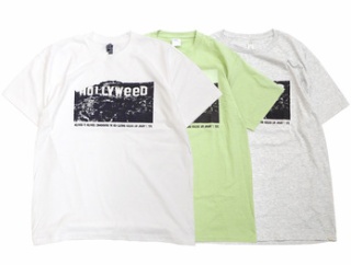 HOLLYWEED