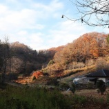 『上山ハイキングコース２０２５　-散り残り以上の紅葉を満喫-』の画像