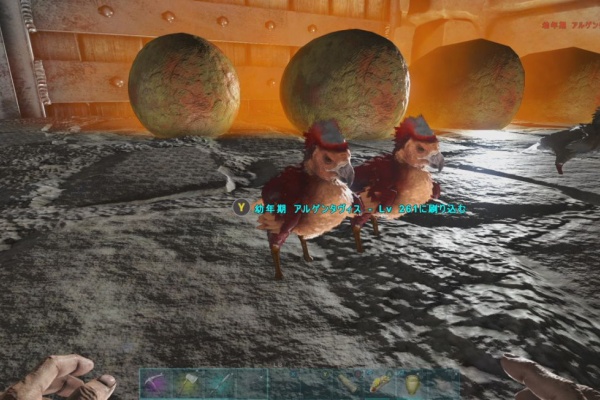 ずっと遊んでいたい人の日記 Ark Survival Evolved