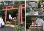 賽（さい）の神