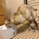 先日見学があったのですが