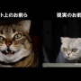 【天才】「ネットでしか辛口コメントできない人を◯◯◯◯って呼んでる」　→　あまりに的確すぎて約6万いいねｗｗｗｗｗ