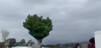 【動画】アメリカ人、やはり馬鹿だった。コストコの行列がヤバすぎる…