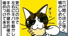 ただのドSな噛み猫だと思っていたうちの猫の噛み技が、神業級のプロの職人技だった事が判明した件