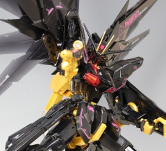 MG PHANTACI フリーダムガンダム Ver.J