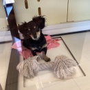 ふんわり耳☁️