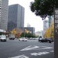 梅田新道（御堂筋）