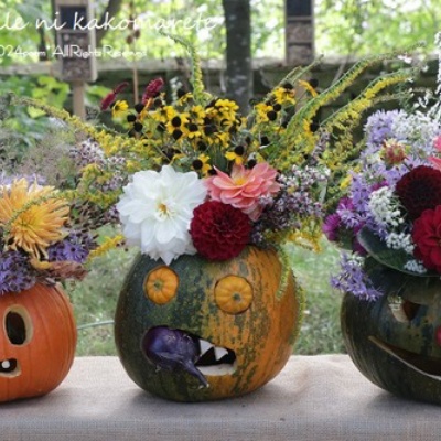 ピーコックブランド メラミン食器 馬 鳥 蝶々 花柄 出産祝い