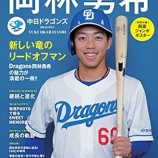 『今年、一番たくさん安打を打ったプロ野球選手はだれだ、ランキング』の画像