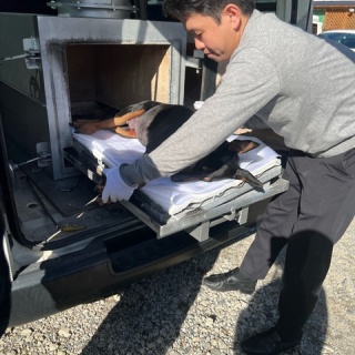 NPO法人ペット里親会