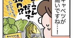 キャベツが高い！！！泣
