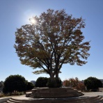 ビジネスピープル共和国