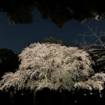 がんと共に生きる！ブログ　肺がんオヤジと愉快な仲間たちのPRIDEそれは生きること！